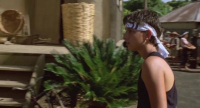 Doesn't that bother you Why should it - The Karate Kid Part II