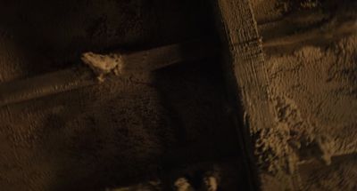 Doesn't closed mean I don't want you in here - House of Wax