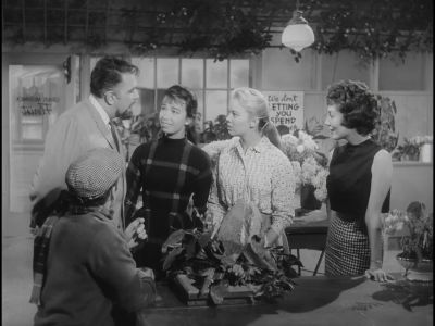 Doesn't it have a scientific name - The Little Shop of Horrors