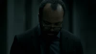 Doesn't look like anything to me. - Westworld