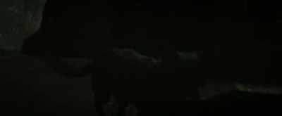 (dog barking)
(chain clanging) - Sunrise