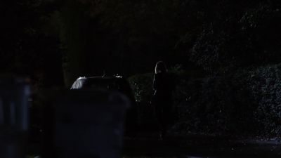 [dog barking in distance] - Homeland