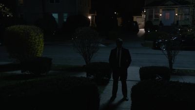 [dog barking in distance] - Bull