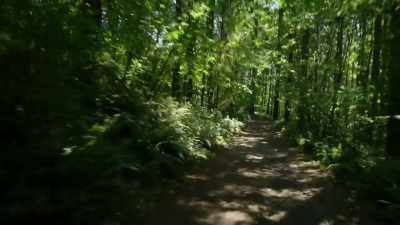 - (dog barking)
- Recently, we became aware - Trees and Other Entanglements