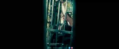 -[dog barking]
-[Russ] There she is! - Monster Inside: America's Most Extreme Haunted House