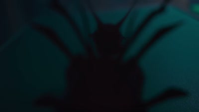 (dog barking) - Inspector Sun and the Curse of the Black Widow