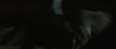 [Dog barking] - Arcadian