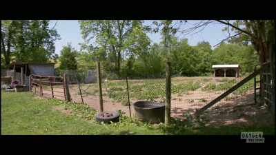 [dog barking] - The Pike County Murders: A Family Massacre