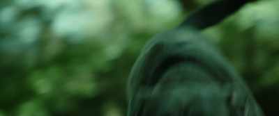 [dog barking] - Citizen Bio