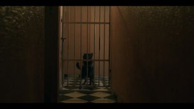 (dog barking) - Tom Clancy's Jack Ryan