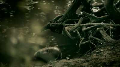[ DOG BARKING ] - Expedition Mungo