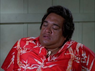 [ DOG BARKING ] - Hawaii Five-O