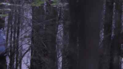 [ Dog barking ] - Homicide Hunter: Lt Joe Kenda