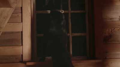 [ Dog barks ] - True Terror with Robert Englund