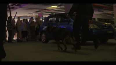 [dog barks] - The Commons