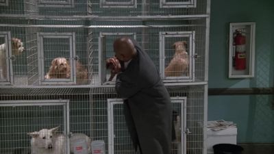 (DOG BARKS) - Spin City