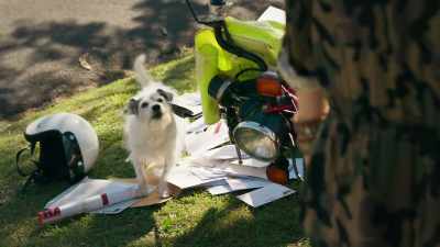 - [dog barks] - The Bureau of Magical Things