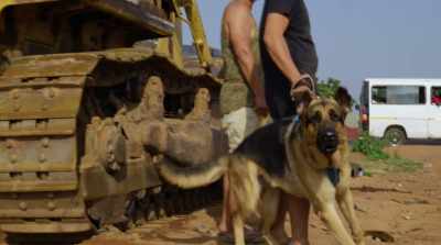 [dog barks] - The Burial of Kojo