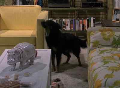 (DOG BARKS) - The Six Million Dollar Man