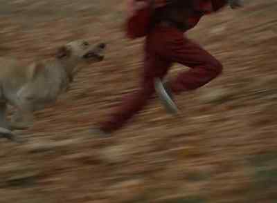 [DOG BARKS] - Far from Home: The Adventures of Yellow Dog