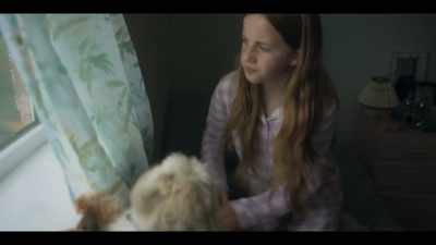 [ Dog barks ] - Protection