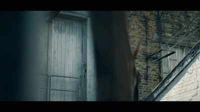 [dog barks] - Camden