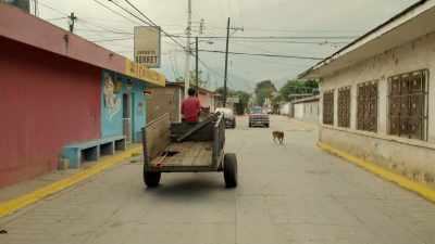 [dog barks] - Eva Longoria: Searching for Mexico