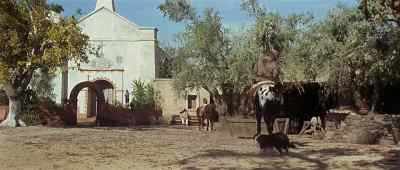 [dog continues barking] - The Appaloosa