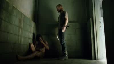 DOG FOOD WITH BEEF AND VEGETABLE - The Walking Dead