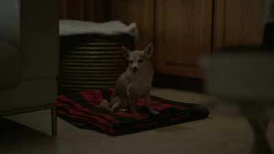 [dog groans] - Twisted Neighbor