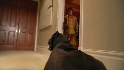 [dog growling] - Animal Control