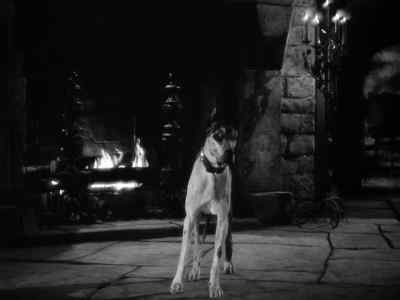 [DOG HOWLS] - Jane Eyre