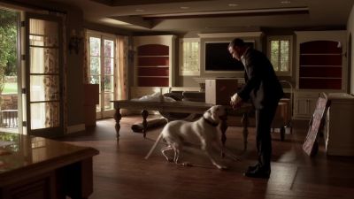 [dog panting] - Ray Donovan