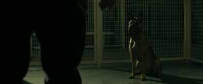[dog panting] - Dog