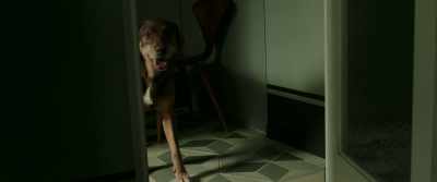 [DOG PANTING] - Foxtrot