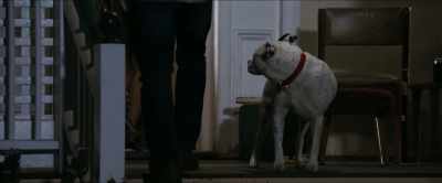 [dog whimpering] - Devil Beneath