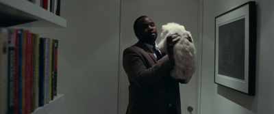 (DOG WHIMPERING) - Widows
