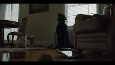 [dog whimpering] - House of Cards