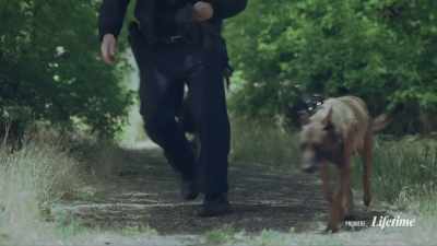 [dog whimpers and barks] - The Gabby Petito Story
