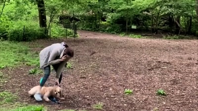 [dog whimpers] - Sound of the Police