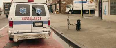 (dog whines and grumbles) - First Shift