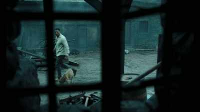 [dog whining] - Anne Rice's Mayfair Witches