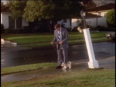 [ DOG WHINING ] - The Wonder Years