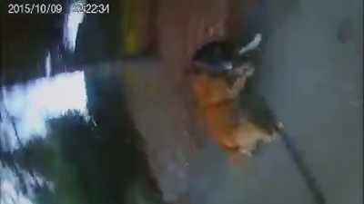 [ Dog yelping,
stun gun buzzing ] - Neighborhood Wars