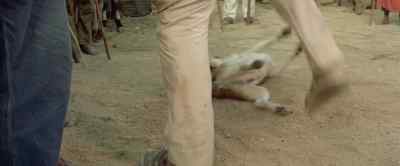[DOG YELPS] - Shaft in Africa