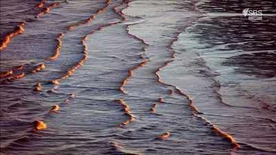 Doggerland survived
the catastrophic tsunami - Curse of the Ancients with Alice Roberts