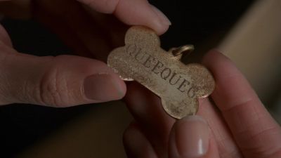 DOGGETT:
Agent Scully. - The X-Files