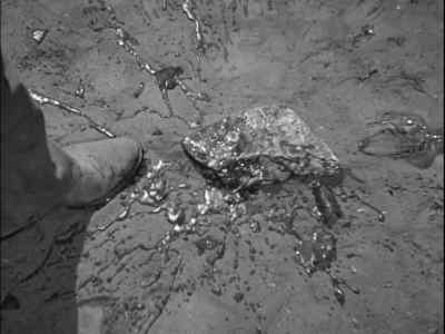Doggone your hide, blossom.
Look at that. - Tall in the Saddle