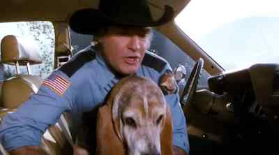 Doggone it, Flash. - The Dukes of Hazzard