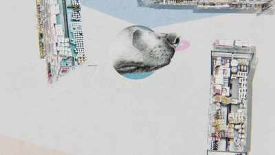 Dogs also smell
in three dimensions. - Inside the Mind of a Dog